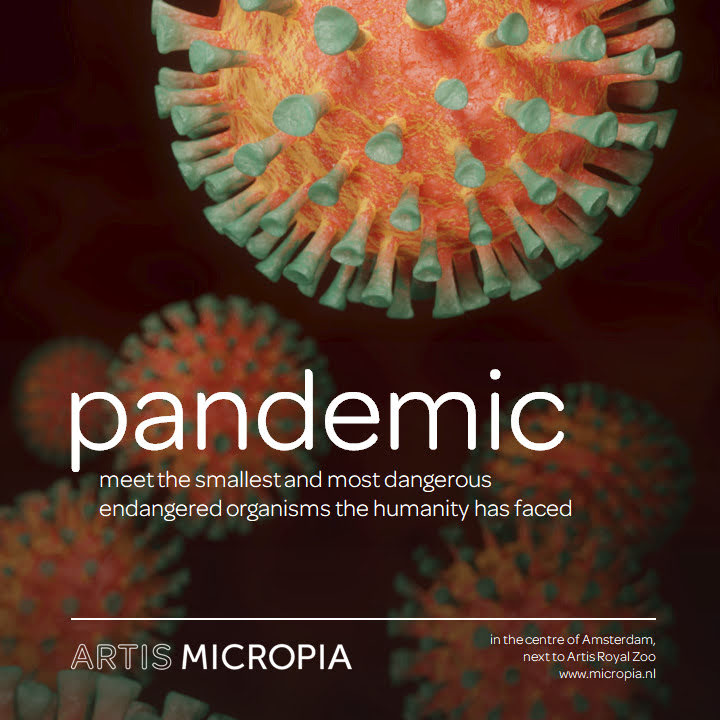 ZoosdelMundo's tweet image. 🔴 El museo @Micropia de Ámsterdam abrirá el próximo año con la exposición temporal #Pandemic. En ella, los visitantes podrán conocer y observar ejemplares vivos del virus de la #COVID19 y especies extintas en libertad como el virus de la viruela.