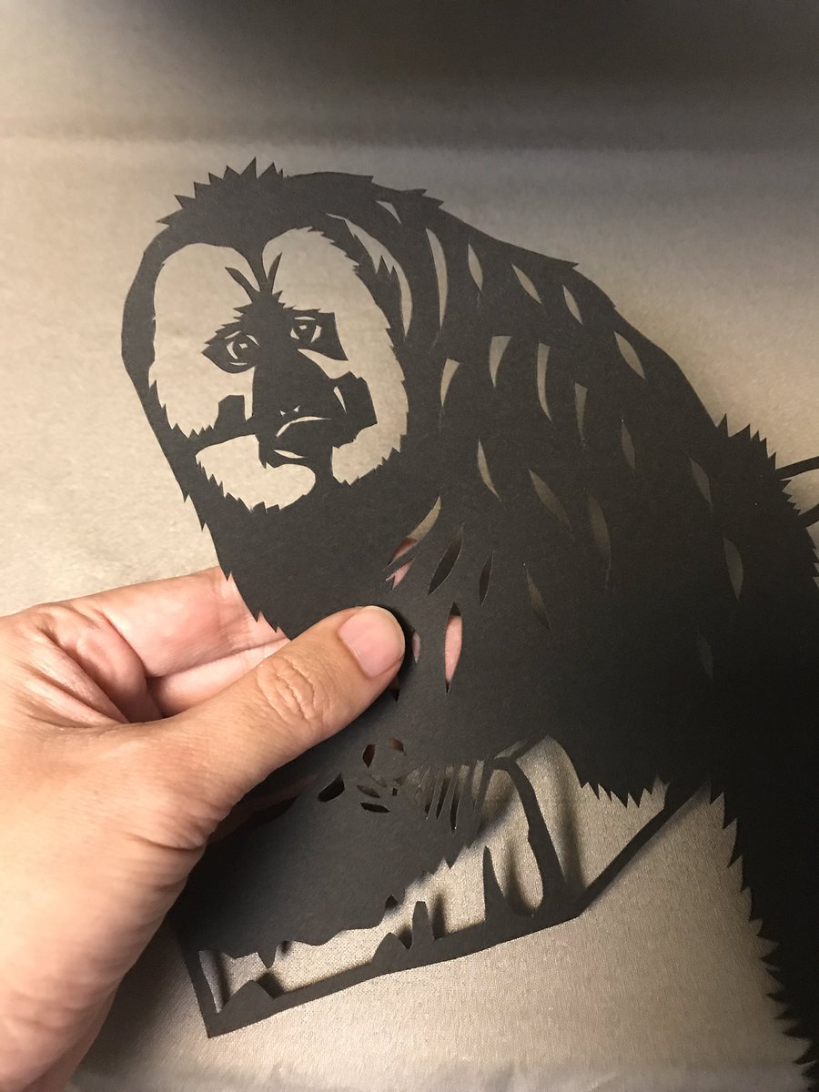 tuge9999T's tweet photo. 切り絵の大きさはこのくらいです!
#今日のモップくん #モップくん #シロガオサキ #日本モンキーセンター #イラスト #切り絵 #Pitheciapithecia
#cutoutpaper https://t.co/SM68NIul4q