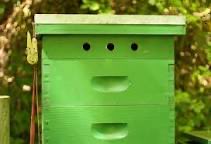 B_J_Sherriff's tweet image. It has been said a wet hive is a dead hive - top ventilation can be the answer. The bees climb out to excrete &amp;amp; have a look around. Bees can determine size of hole &amp;amp; block it up. #winterbees #bees #beehives #overwinteringbees