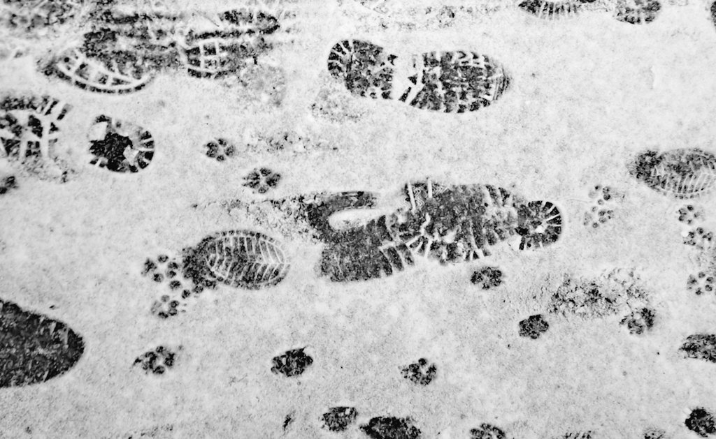 Vaikka kulkisimme eri suuntiin, polkumme risteävät hetken verran.