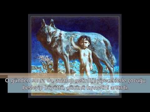 يجرع سبب اختيار هذا الشعار الي اسطورة تركية تقول أن قبيلة لين المعادية للأتراك قتلت كل الأتراك ولم يبقى الا طفل تركي واحد هذا الطفل تبنته ذئبه و ارضعته حتى كبر و نجى بفضلها من الموت