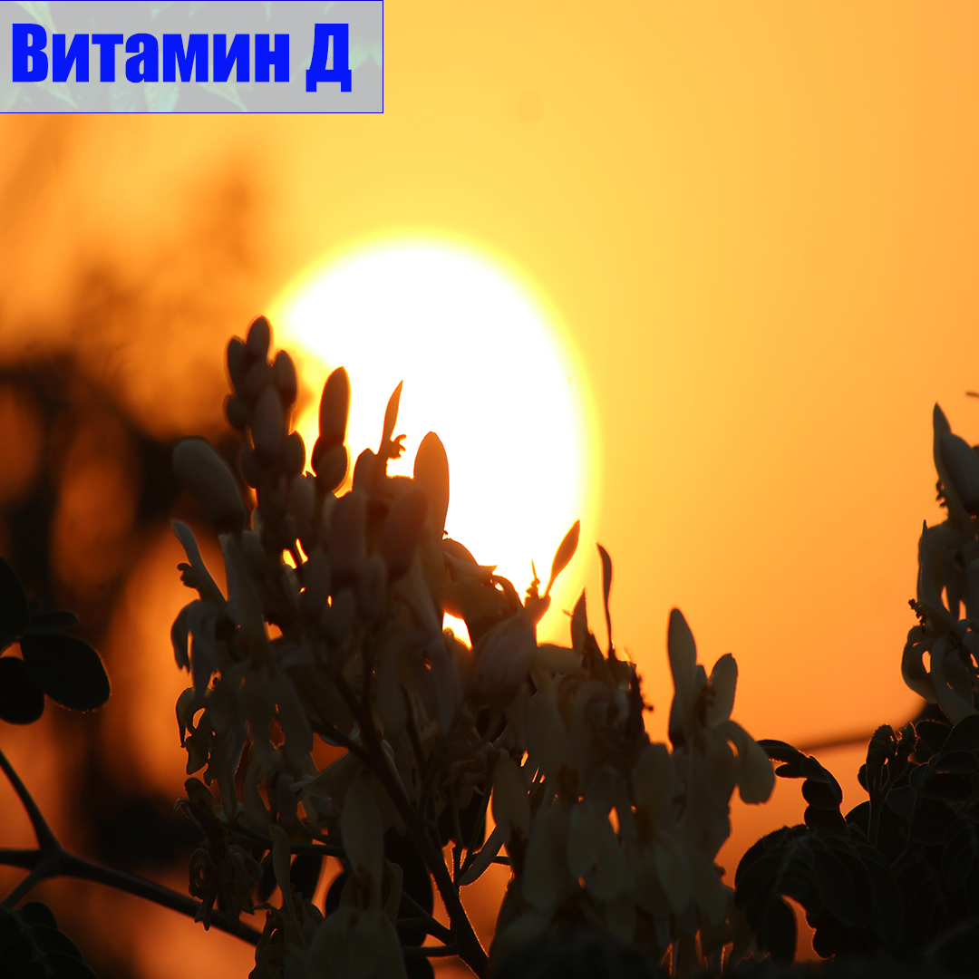 TurmedaCLINICS's tweet photo. Первый шаг в борьбе с раком начинается еще до болезни. В этом процессе Активный образ жизни, контроль стресса и здоровое питание играют ведущую роль. Что касается витаминов, мы будем потреблять их как для защиты от рака, так и для здорового образа жизни; Особо выделяются витамины https://t.co/O1IJgqWkKE