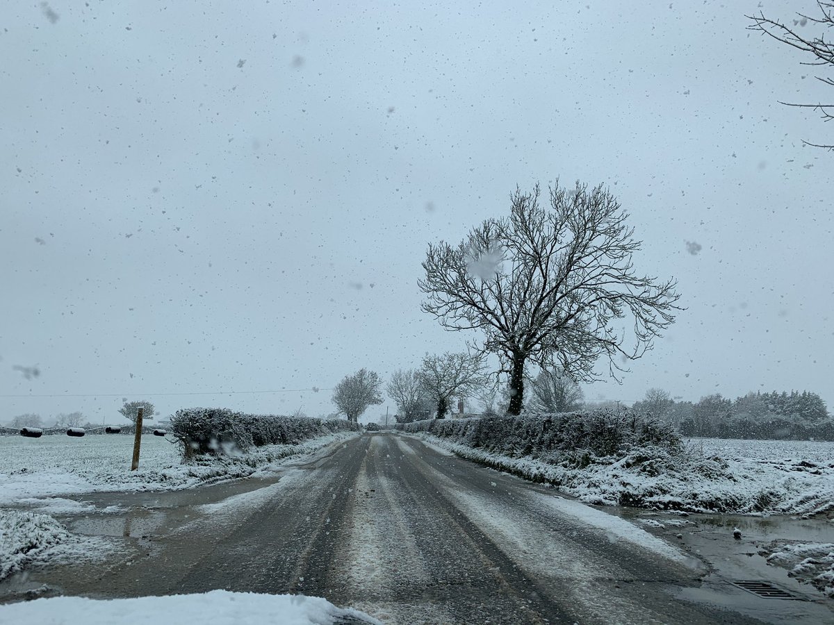 TeamSapphireMidwives tweet media