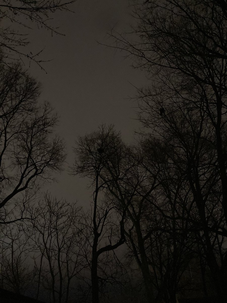 Calvin_Buchanan's tweet photo. Some dope pics I took of my backyard tonight https://t.co/S0PuENd2y8