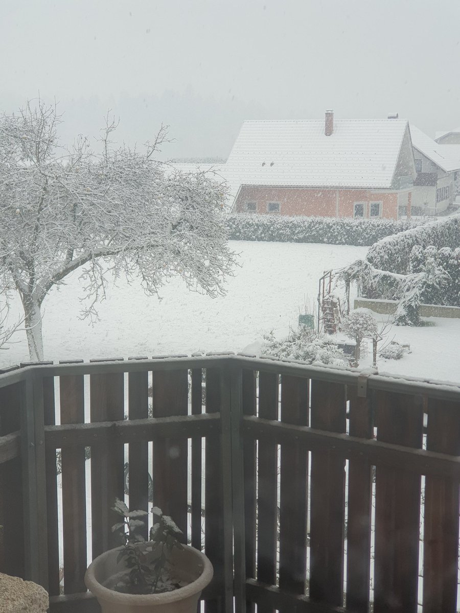 SwapeFN's tweet image. 😍😍😍