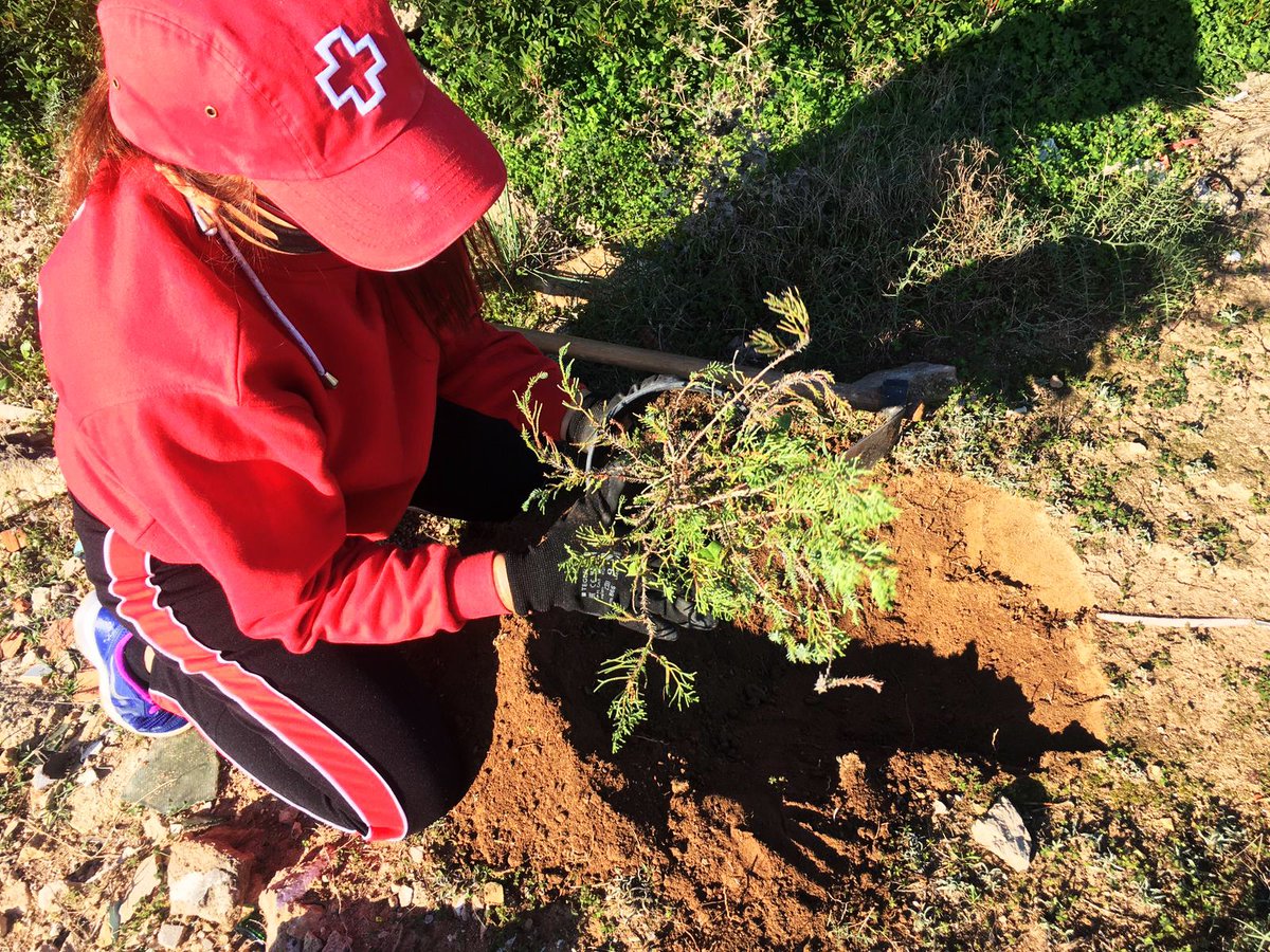 CreuRojaBalears's tweet photo. 🌿Reforestam una part de l'espai natural d'Es Carnatge
gràcies al nostre projecte pilot +CO(MPENSA)2. Un programa que duem a terme amb @ibanat_IB, @cmat_ib i @ajuntpalma per compensar la petjada de carboni. https://t.co/vK6NsCus4q