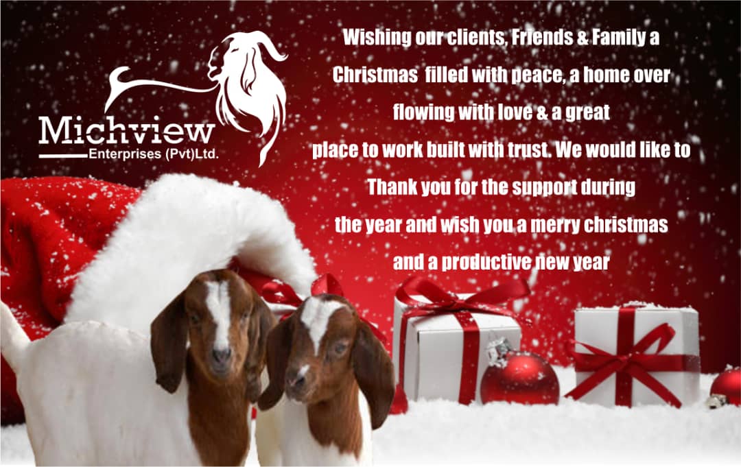 From all of us at Michview Enterprises. <a href="/michview/">Lindani Ncube</a> <a href="/pmsagonda/">Phineas Sagonda</a> <a href="/PMafira/">PRECIOUS MAFIRA</a> <a href="/ZAGPGoats_Pigs/">VALUE Consortium</a> <a href="/zakis_zagp/">ZAKIS_ZAGP</a> <a href="/ZAGPInfo/">Zimbabwe Agricultural Growth Programme</a> <a href="/newtoncharig/">Newton Chari</a> @Yvstom_M