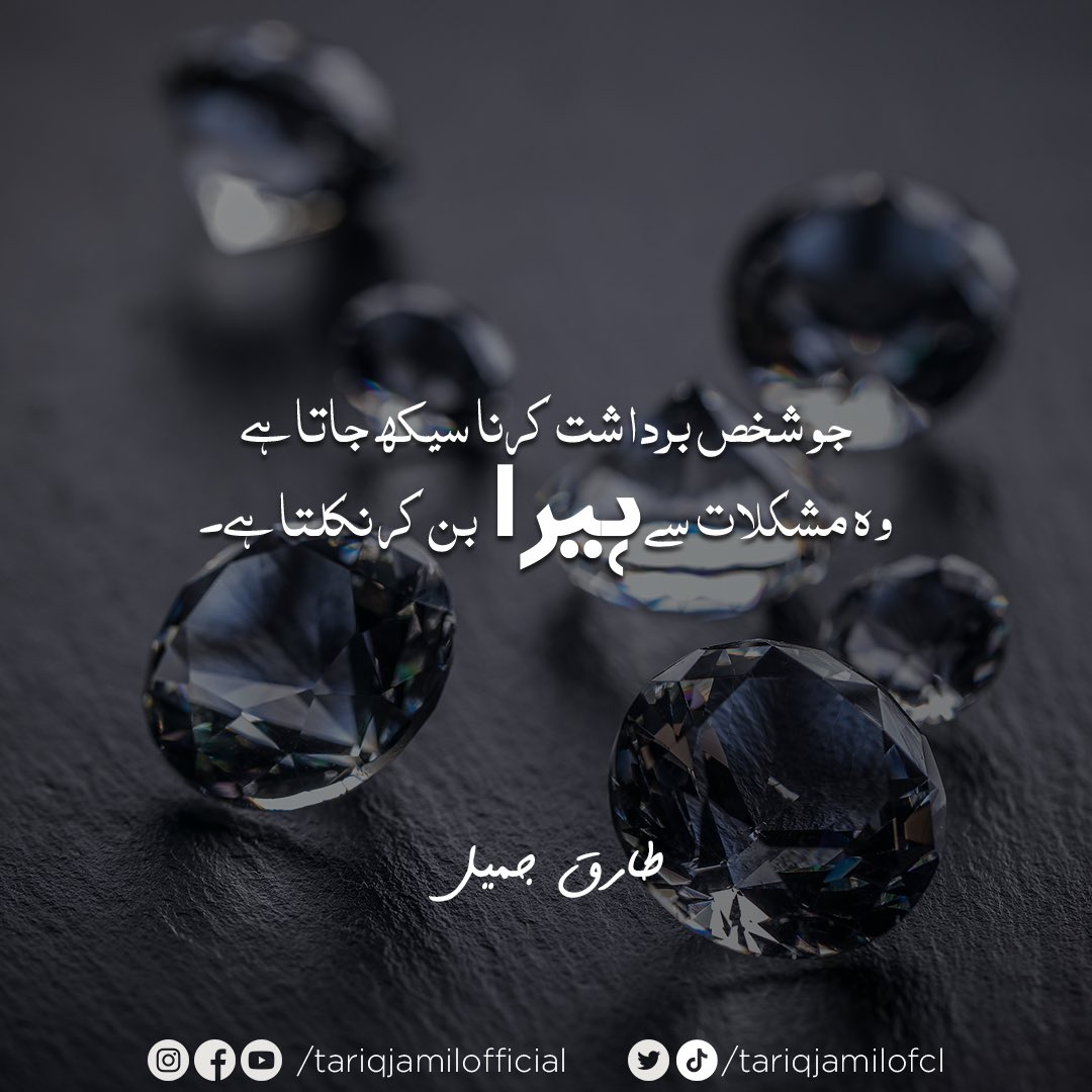 Tariq Jamil tweet media