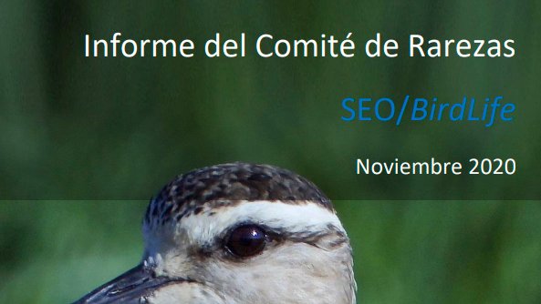 Nuevo informe mensual del Comité de #Rarezas de 
<a href="/SEO_BirdLife/">SEO/BirdLife</a>. Registros correspondientes a noviembre de 2020. Incluye el primer registro homologado para España de halcón de Amur (Falco amurensis) y 2º de martín gigante norteamericano (Megaceryle alcyon). reservoirbirds.com/Articles/RBAR_…