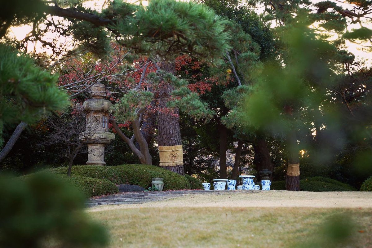 八芳園 A Twitter この季節になると 木に巻かれる藁 これは こも巻き といって 江戸時代より大名庭園で行われてきたとされる害虫駆除法です 風情あふれる冬の風物詩を お楽しみくださいませ 年末年始休業期間 12月28日 月 1月3日 日 日本庭園 冬