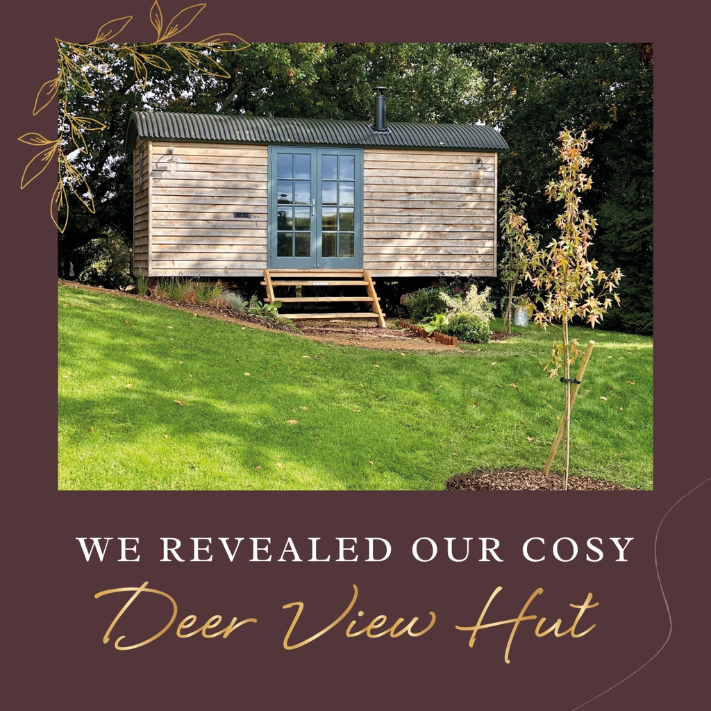 It's not been the best year, but let's not focus on the negatives. 

Here are some of our favourite 2020 Burley Manor moments!