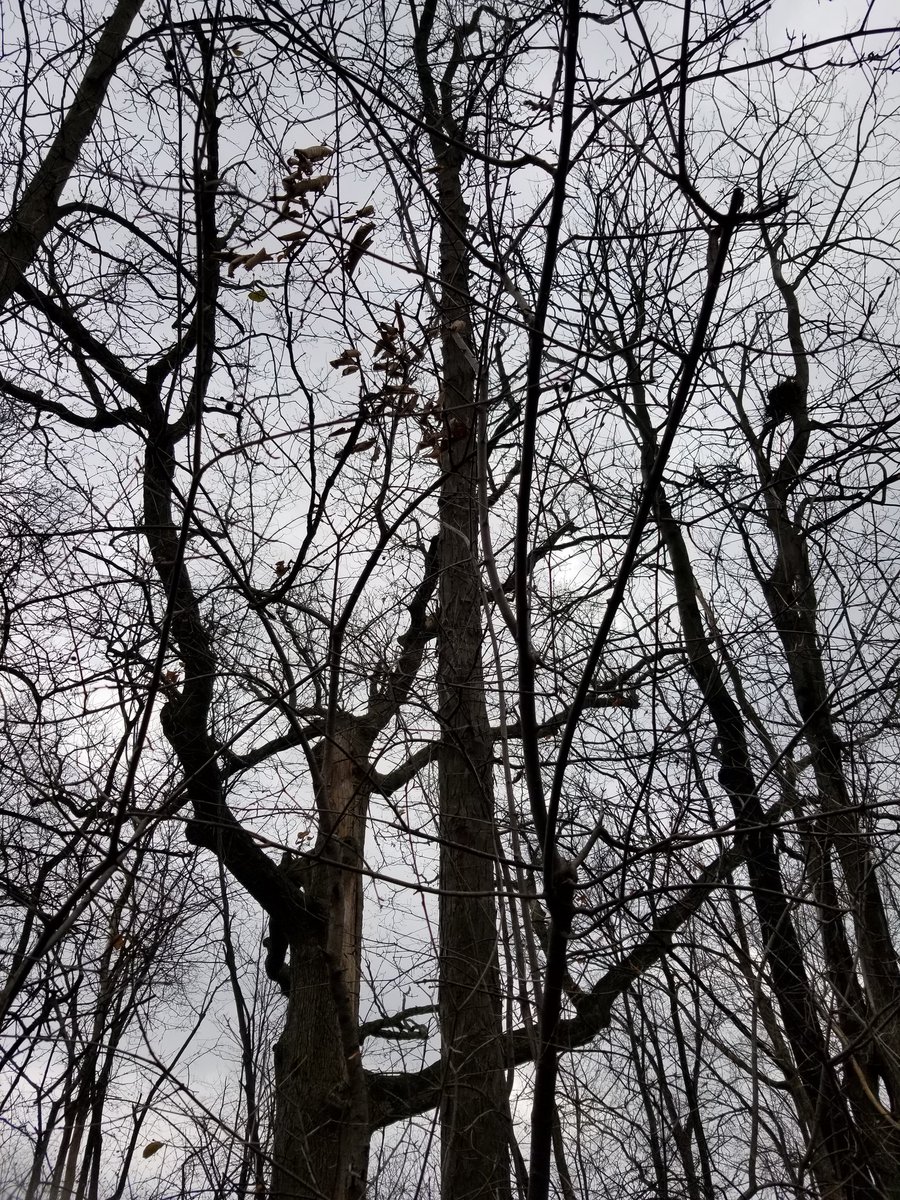 SojkaAnn's tweet image. Good Morning