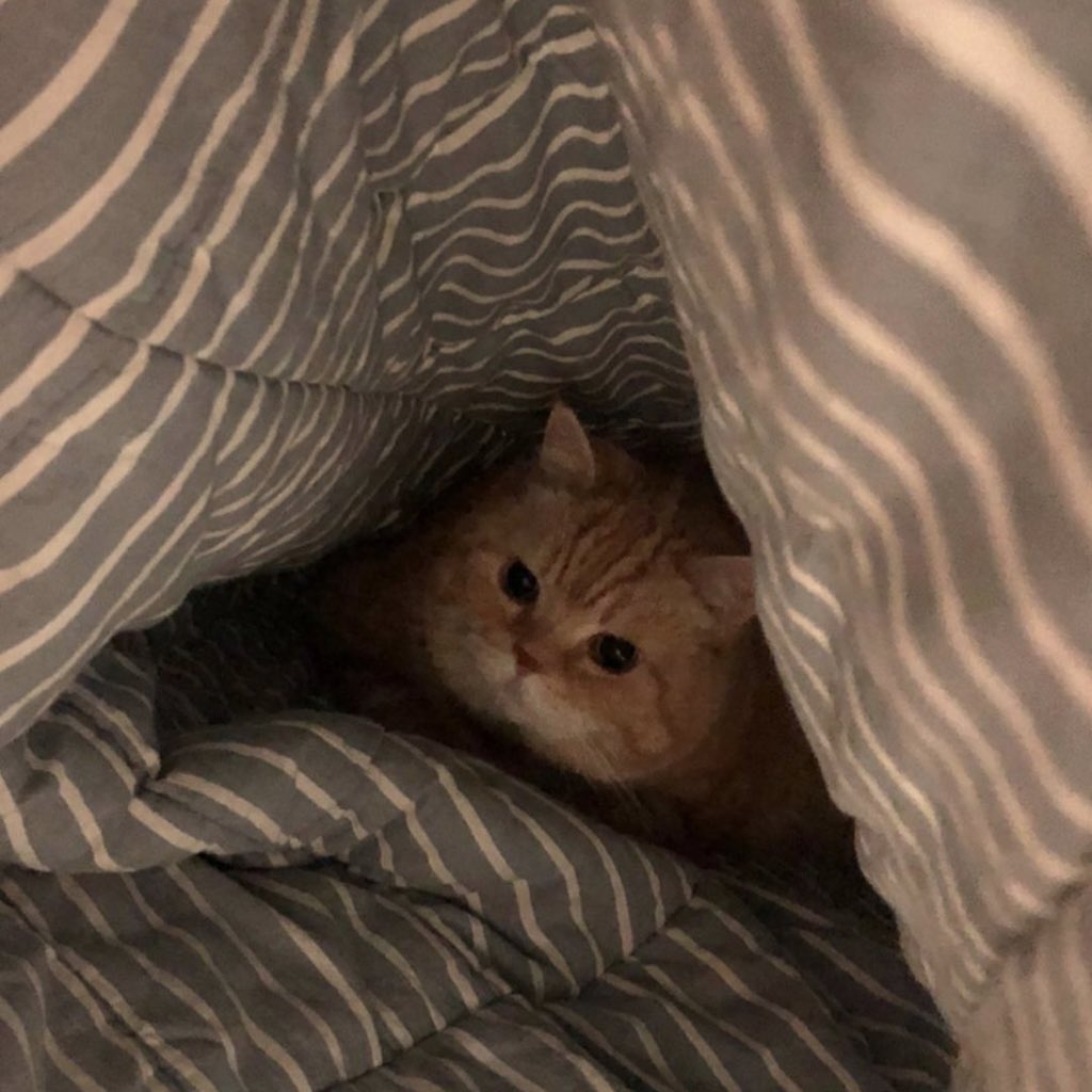 ไปทำไรในนั้นคะ