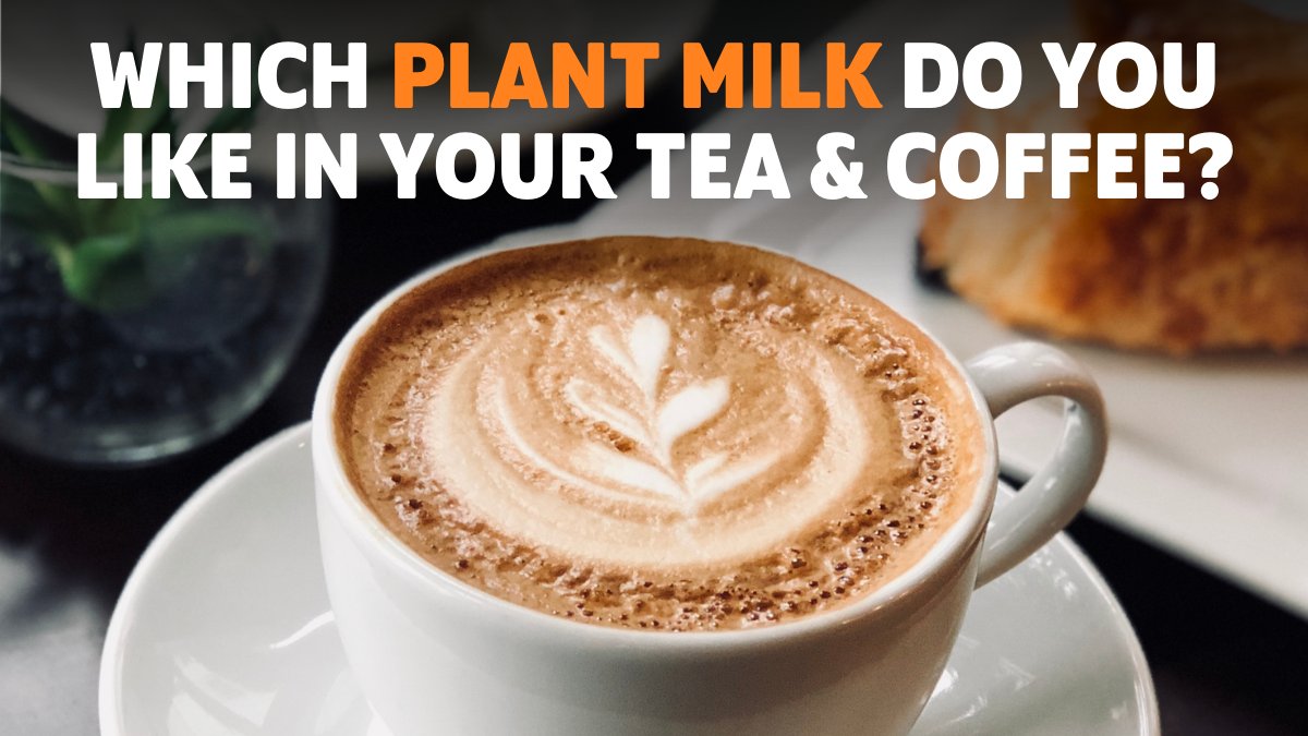 ☕️ There's nothing quite like that first cup of tea or coffee in the morning...but which plant milk is your favourite for making the perfect brew? 

🌿 Let us know below!