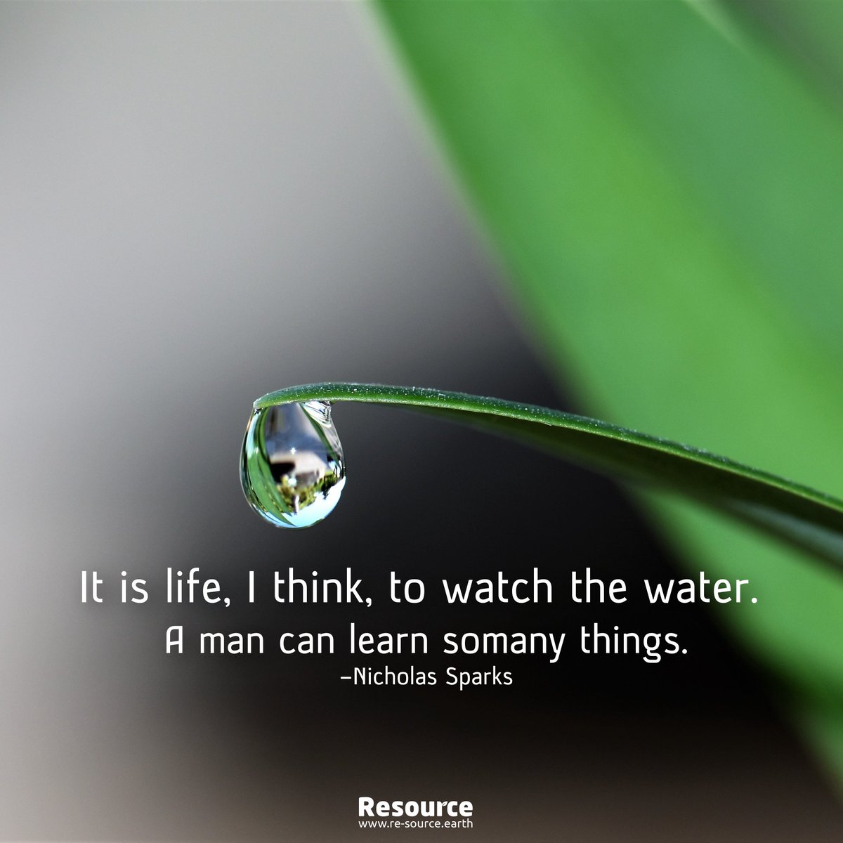 It is Life 

#life #water #cleanwateract #watermanagement #ozonatedwater #waterlover #natures #gogreen💚 #greenday #cleanwatermovement