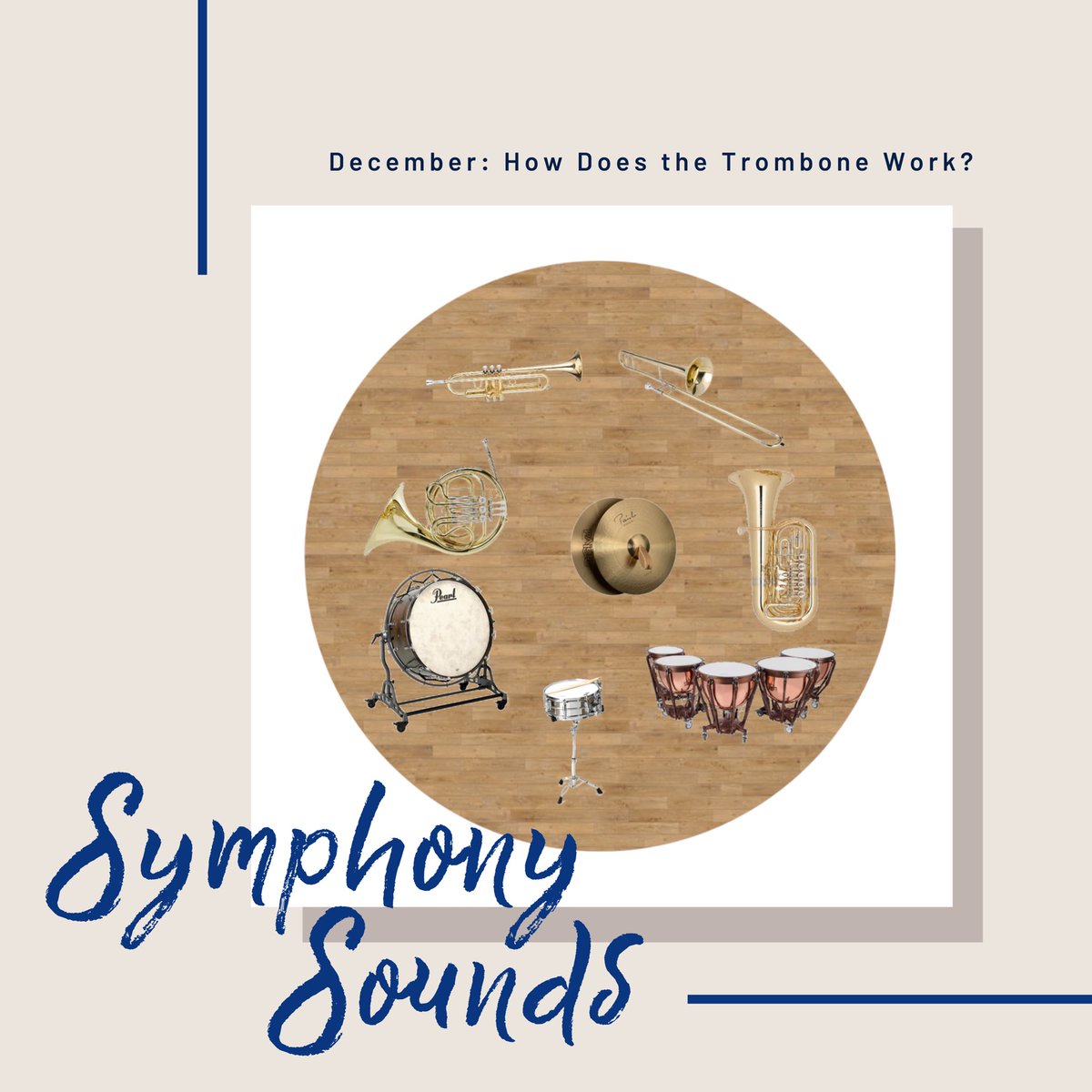 Meridian Symphony Orchestra tweet media