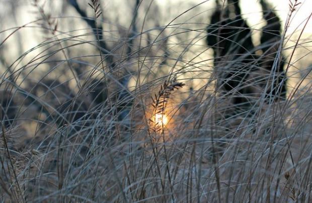 Met Office warns of snow and ice overnight in Dorset and Hampshire dlvr.it/RpVBf7