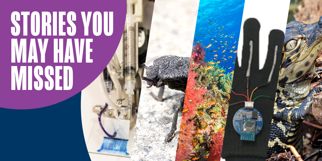 OntScienceCtr's tweet photo. Glow-in-the-dark platypuses, a newly discovered coral reef &amp; earthbound bits of Bennu. We’ve rounded up 10 science stories that you may have missed in 2020. What’s your favourite science story this year?👉 https://t.co/diGeCBMyWO https://t.co/YNJpBBJQtT