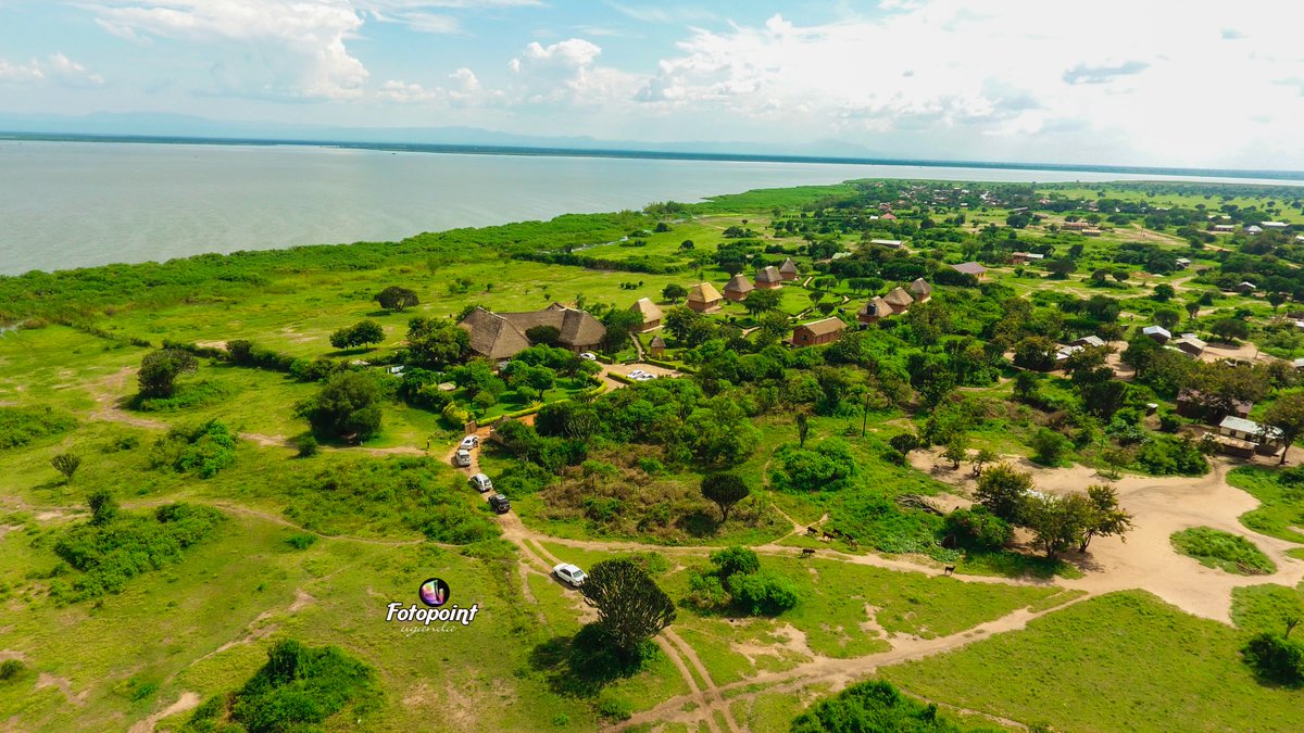 Ihamba Ihamba Safari Lodge (@IhambaLodge) / Posts / X