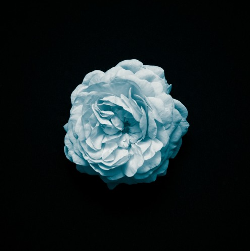 thepostrockmusic.com/d/26-join-the-… #postrock