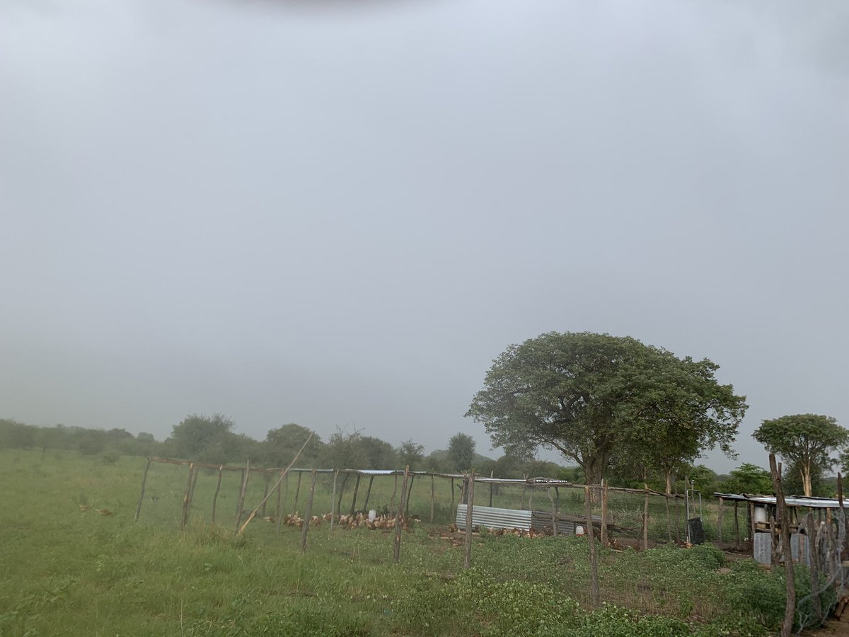 HTupopila's tweet image. The rain that’s about to hit us, even me I’m scared because it has been making push ups(gugugu sound) for like an hour now.