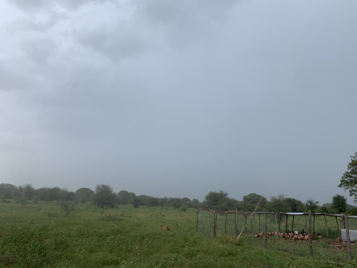 HTupopila's tweet image. The rain that’s about to hit us, even me I’m scared because it has been making push ups(gugugu sound) for like an hour now.