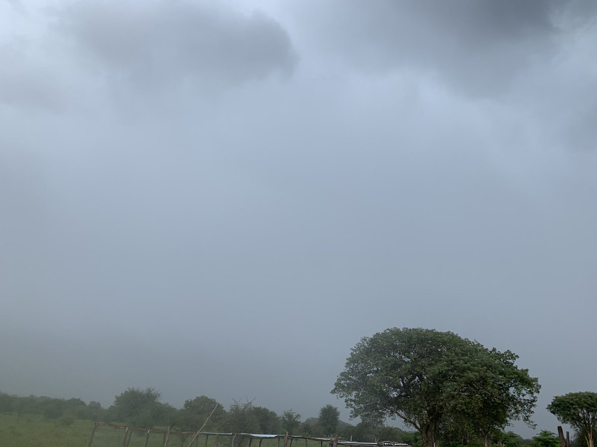 HTupopila's tweet image. The rain that’s about to hit us, even me I’m scared because it has been making push ups(gugugu sound) for like an hour now.