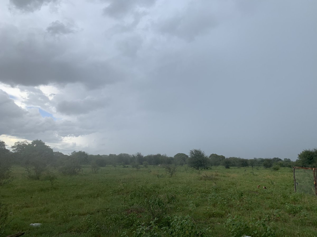 HTupopila's tweet image. The rain that’s about to hit us, even me I’m scared because it has been making push ups(gugugu sound) for like an hour now.