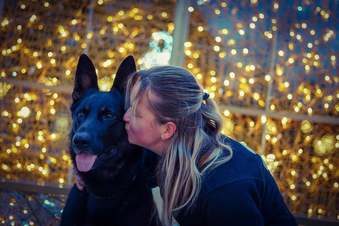 True love 🥰🥰🥰
Follow @MargarteMom 
#germanshepherds #black #NashvilleBomb