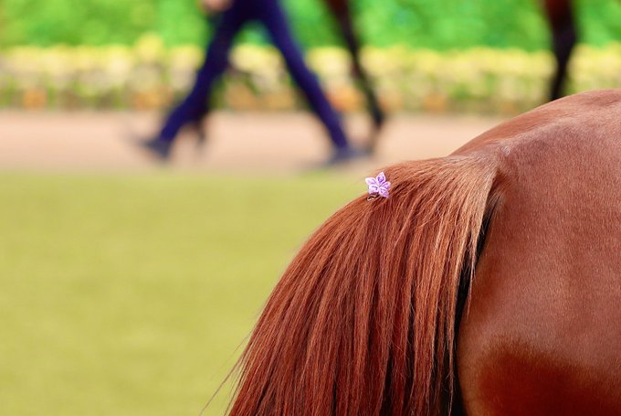 ラッキーライラックのtwitterイラスト検索結果