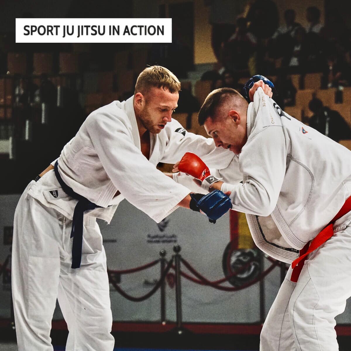 JuJitsuAction's tweet photo. Battle of champions Denis Belov vs Ilya Borok 🇷🇺🔥
#sportjujitsuinaction #jujitsu #jiujitsu #fightingsystem #combatsports https://t.co/49biHkxux6