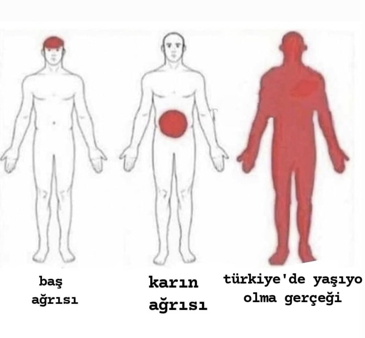 furkan (@psychedelicgot) on Twitter photo 