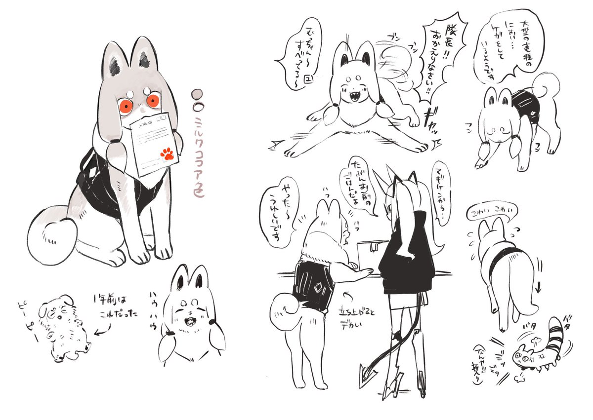今年の動物 