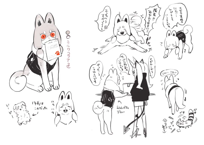 今年の動物 