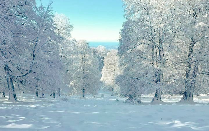 Uscire fuori e ritrovarsi in The Chronicles of Semprevisa. ✨ Adieu