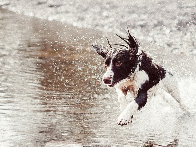 Antelope Water Management tweet media