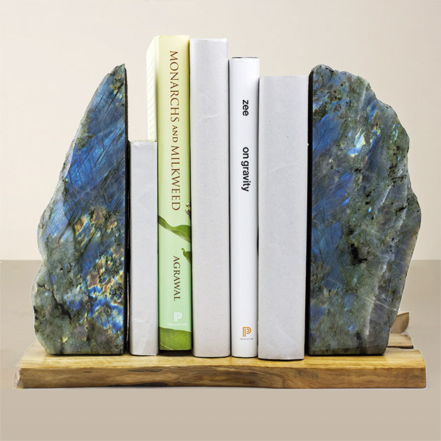 HMNS Museum Store tweet media