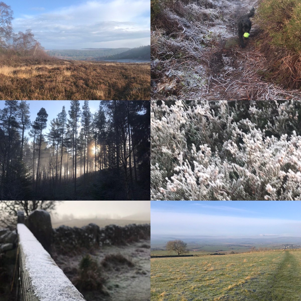 claireforstet's tweet image. #perfectwalk #rothbury #LoveWhereYouLive Never take for granted all this on my doorstep . Lovely morning walk!