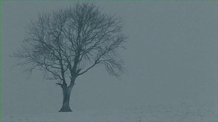becktonalpfilm's tweet photo. As 2020 begins to wane, I've put together a winter playlist featuring some of my favourite songs and artists of the year https://t.co/bRlhUxPTwM ❄️
Image: 'Sleep Furiously' dir: Gideon Koppel, 2008 https://t.co/dNGK5sCp5x