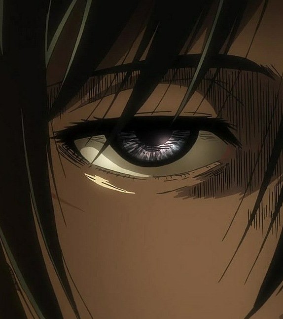 queen on Twitter "mikasa's eyes are probably the most beautiful dark