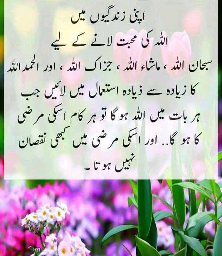 Muhammad Sarfraz tweet media