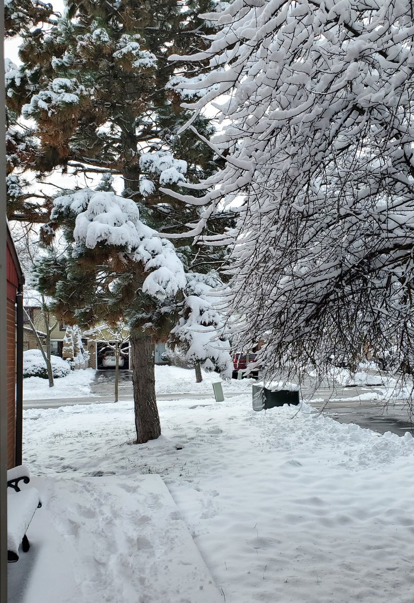 LindaEwing's tweet photo. #WinterWonderland  #tistheseason https://t.co/MeITHSCJFj