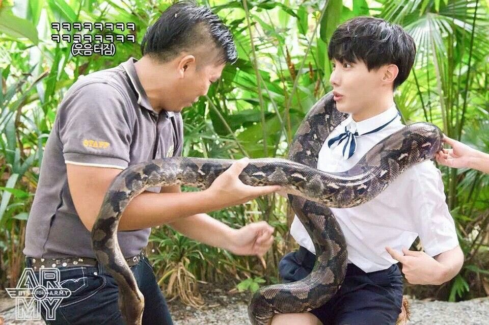 Hobi was so scared of the snake yet he still held it and finished the photoshoot. A professional and brave baby