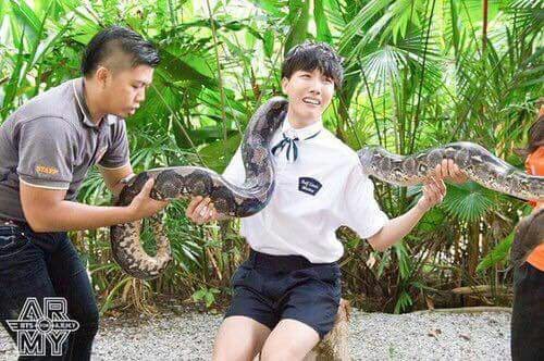 Hobi was so scared of the snake yet he still held it and finished the photoshoot. A professional and brave baby