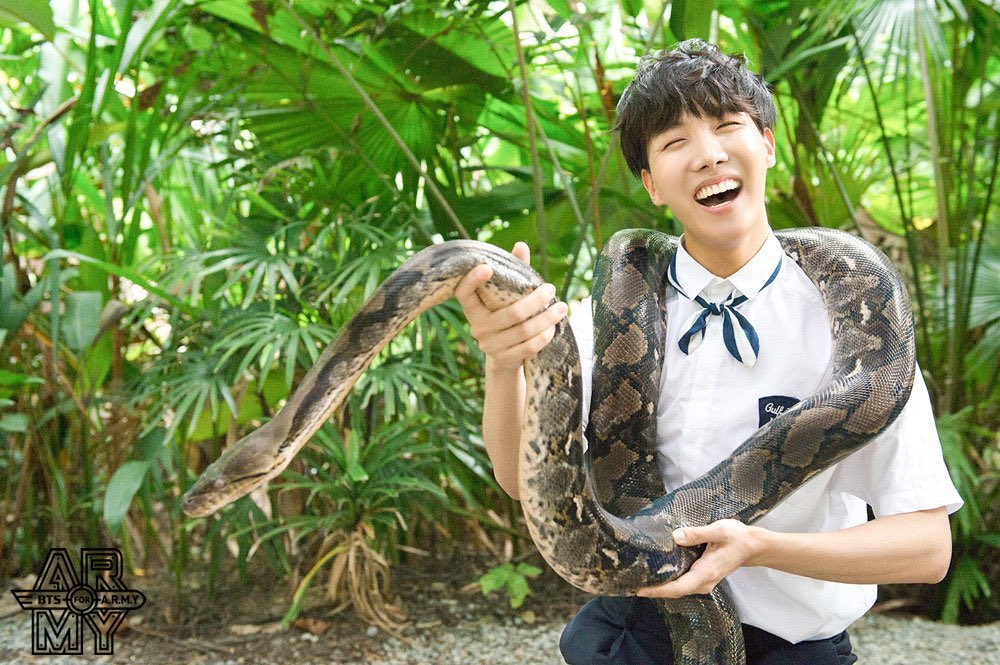 Hobi was so scared of the snake yet he still held it and finished the photoshoot. A professional and brave baby