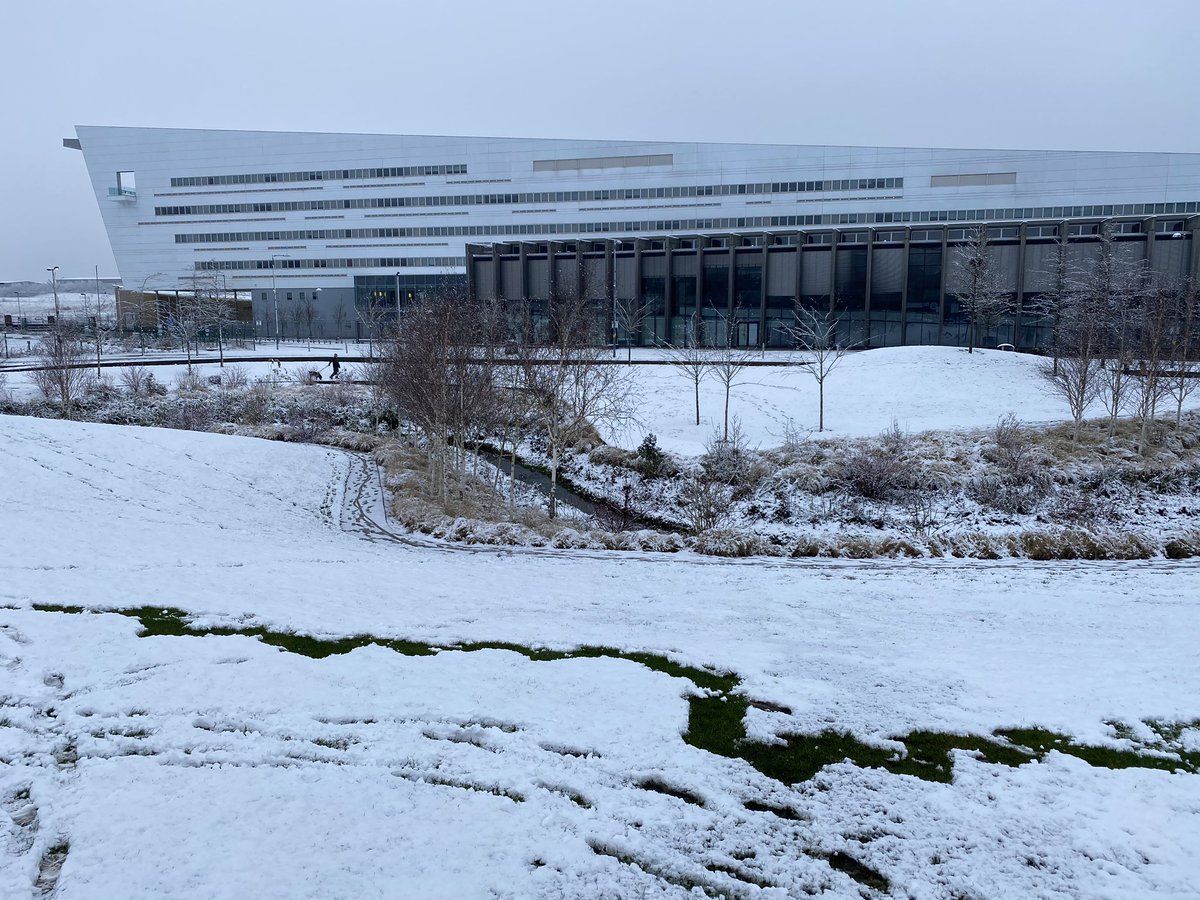 longbridgehero's tweet photo. Longbridge and Cofton look glorious in the Snow. https://t.co/BPaPNEmLK1