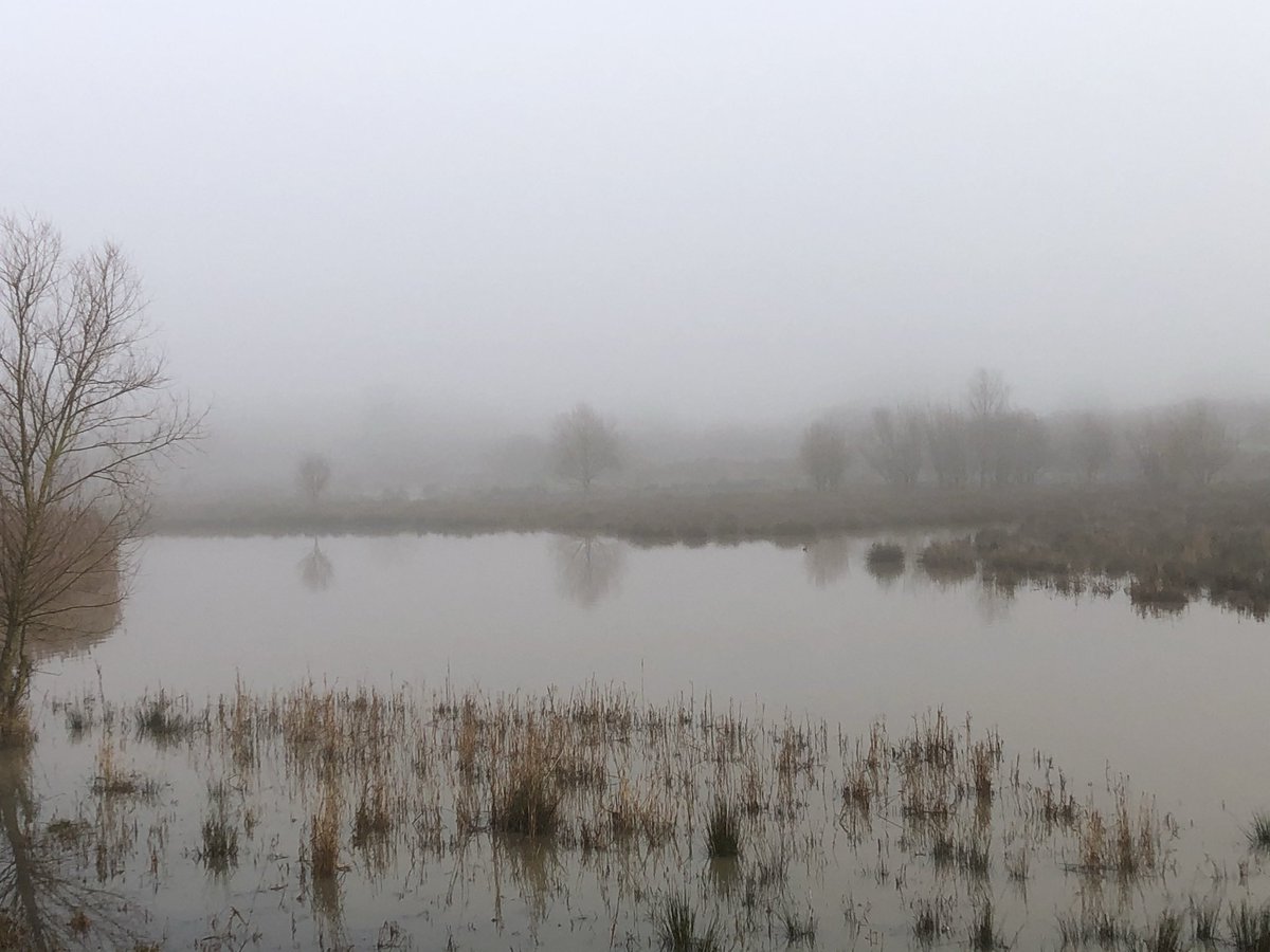 Mirror image at Hornchurch country park marshes. A lovely walk on a frosty morning. Happy new year to you all.