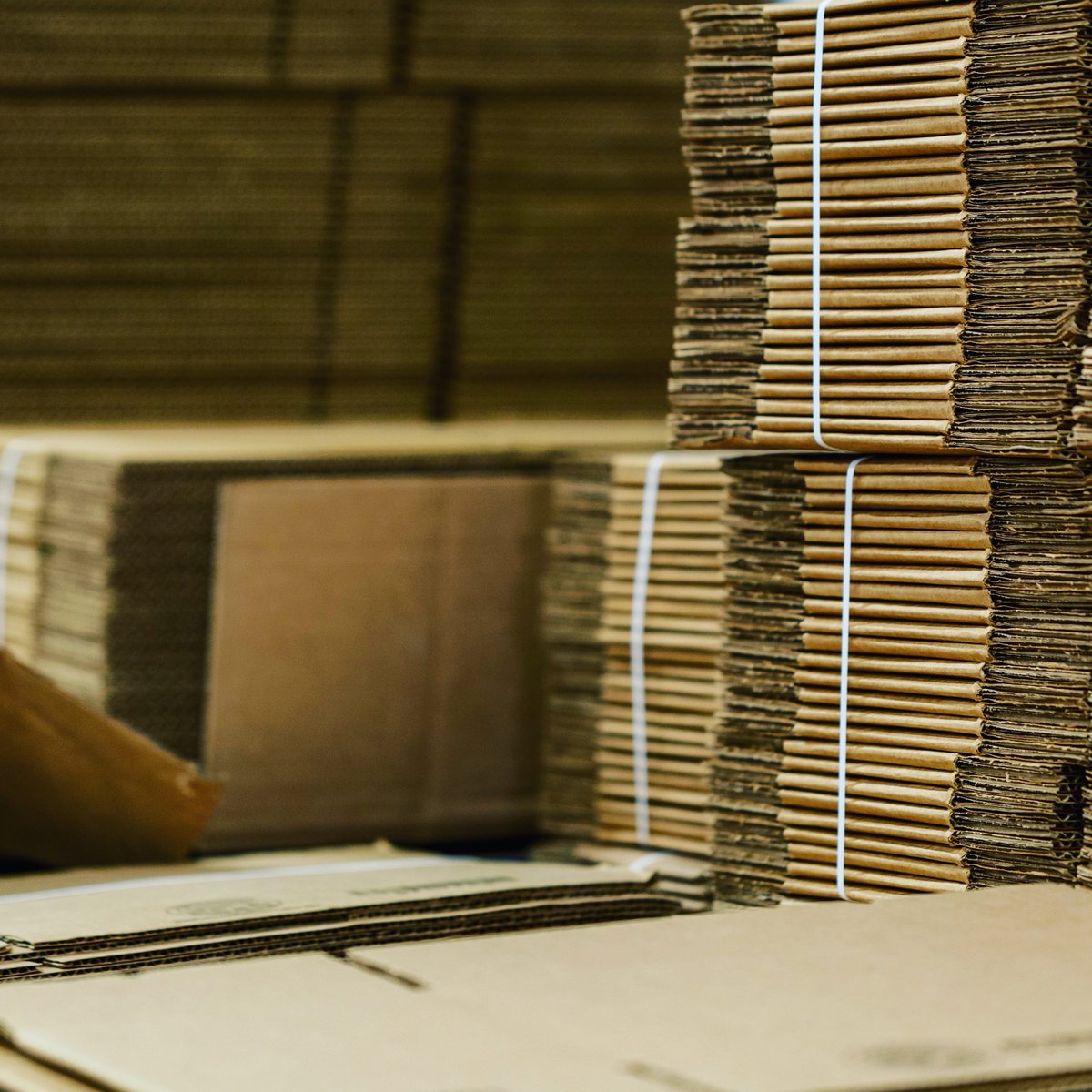 Stocking up for next year's fulfillment! What's your quota goal?

#shopping #SmallBusiness #ecommerce