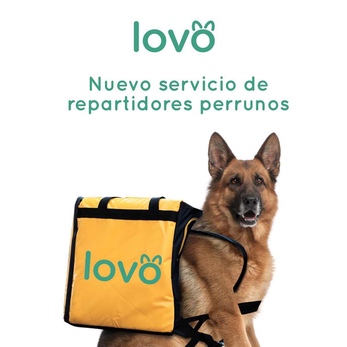 lovo.perroful.com