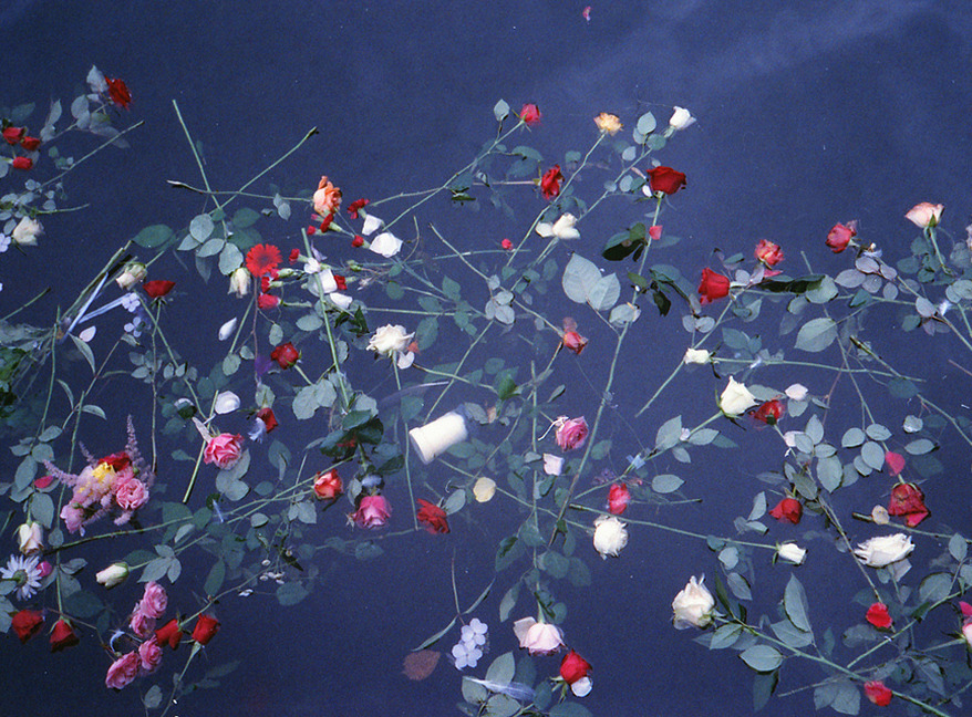 Archillect (@archillect) on Twitter photo 